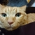 Profile picture small