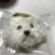 Profile picture small