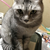 Profile picture small