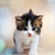 Profile picture small