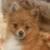 Profile picture small