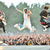 oneokrock