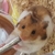 Profile picture small
