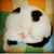 Profile picture small