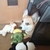 Profile picture small