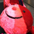 Profile picture small