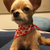 Profile picture small