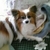 Profile picture small