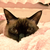 Profile picture small