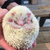 Profile picture small