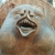 Profile picture small