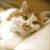 Profile picture small