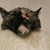 Profile picture small