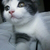 Profile picture small