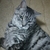 Profile picture small