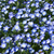 Profile picture small