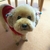 Profile picture small