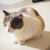 Profile picture small