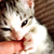 Profile picture small