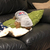 Profile picture small