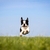 Profile picture small