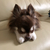Profile picture small