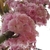 Profile picture small