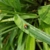 Profile picture small