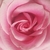 Profile picture small