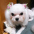 Profile picture small