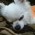 Profile picture small