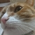 Profile picture small