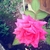 Profile picture small