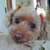 Profile picture small
