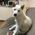 Profile picture small