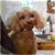 Profile picture small
