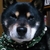 Profile picture small