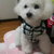 Profile picture small