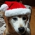 Profile picture small