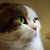 Profile picture small
