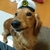 Profile picture small