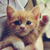 Profile picture small