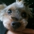 Profile picture small