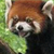 Profile picture small