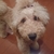 Profile picture small