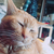 Profile picture small