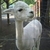 Profile picture small