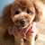 Profile picture small