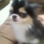Profile picture small