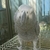 Profile picture small